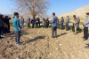 برگزاری کارگاه آموزشی آشنایی با فرآیندهای کاشت تا برداشت گیاهان دارویی دیم در چرداول