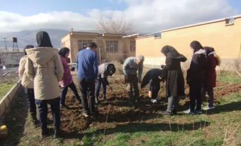 برگزاری دوره آموزشی کاشت گیاهان دارویی توسط جهاد دانشگاهی ایلام برای هنرجویان سیروانی